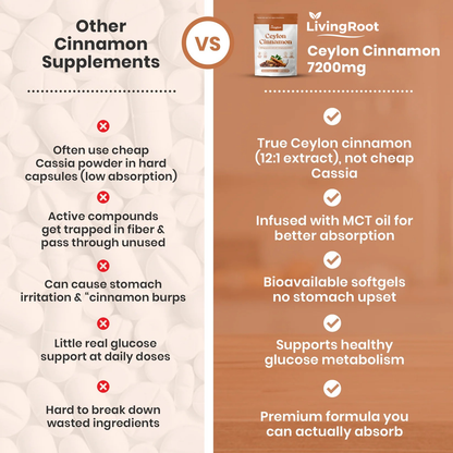 LivingRoot Organic Ceylon Cinnamon Powder